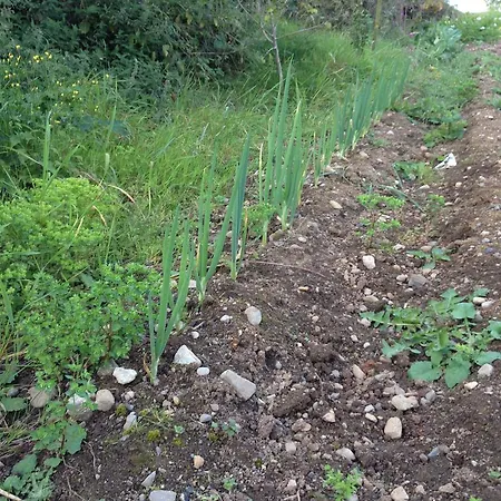 Fort House Kilbeggan