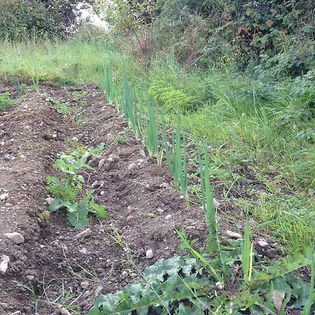 Frühstückspension Fort House