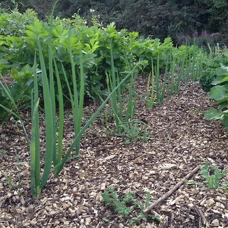 Fort House לינה וארוחת בוקר קילבגן