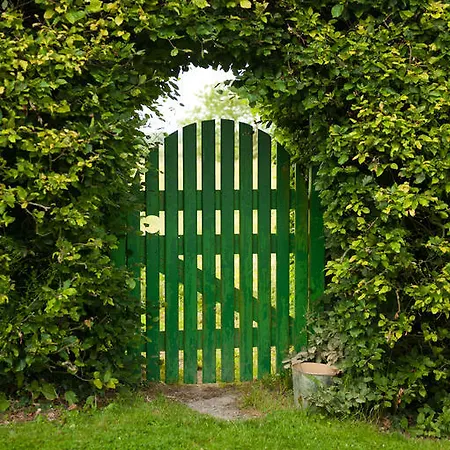 Fort House קילבגן