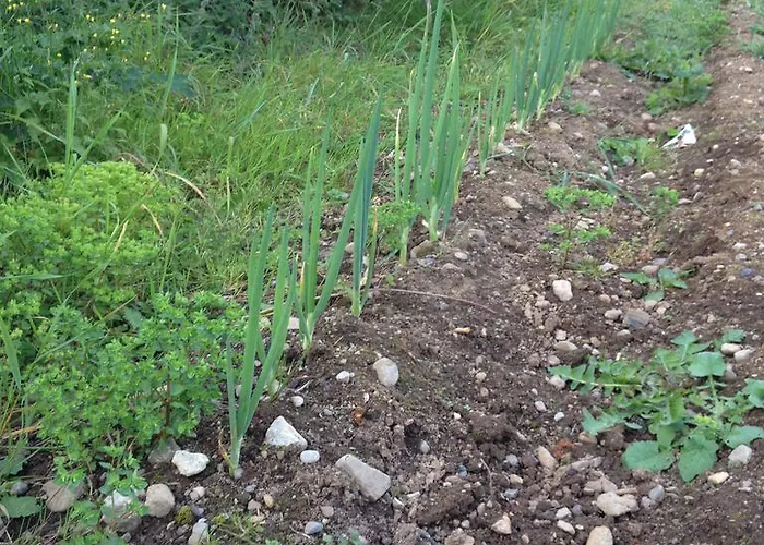 Fort House Kilbeggan