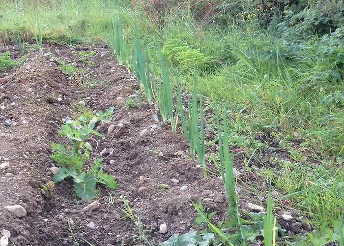 Bed & Breakfast Fort House