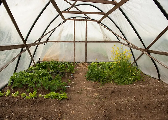 Bed & Breakfast Fort House Kilbeggan