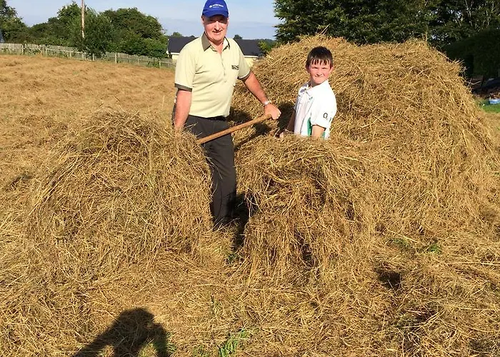 Fort House Bed & Breakfast Kilbeggan